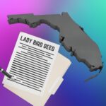Florida Lady Bird Deed St Augustine